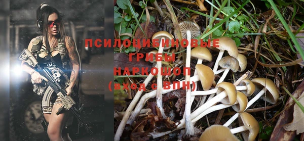 эйфоретик Краснослободск