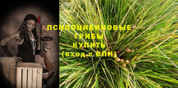 эйфоретик Краснослободск