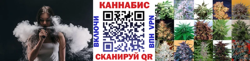 Каннабис план  Купить где  Заполярный 